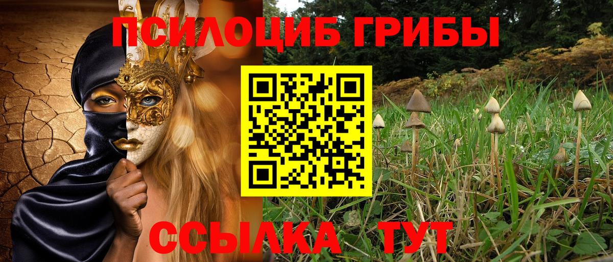 Псилоцибиновые грибы мухоморы Волжск