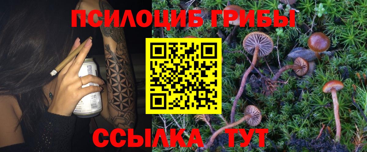 Псилоцибиновые грибы Magic Shrooms  Вход с VPN  купить наркотик  Волжск 